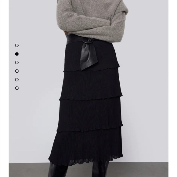 Zara | Ruffled Swiss Dotted Midi Mesh Skirt XS NWT - Picture 3 of 10